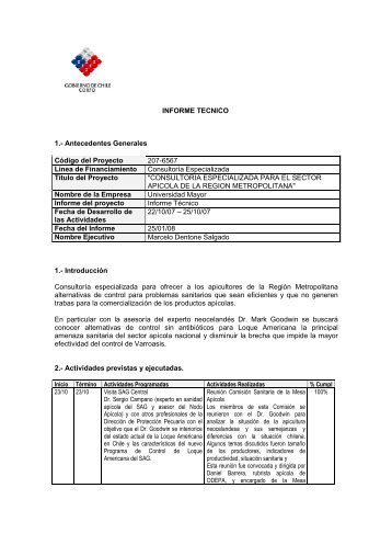 INFORME TECNICO 1.- Antecedentes Generales ... - Espacio Corfo