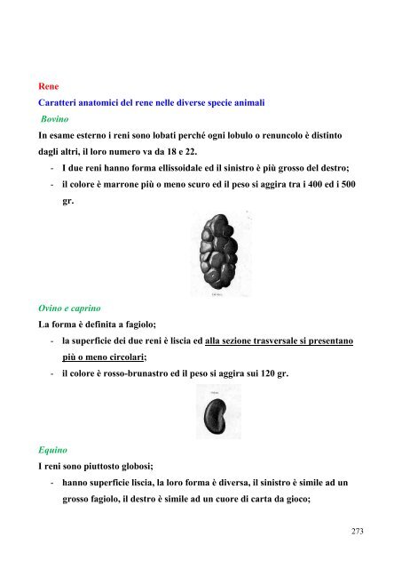 prostata aumentata di aspetto globoso