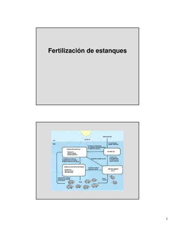 Fertilización de estanques