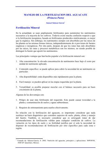 FERTILIZACION AGUACATE fertilizacion aguacate:
