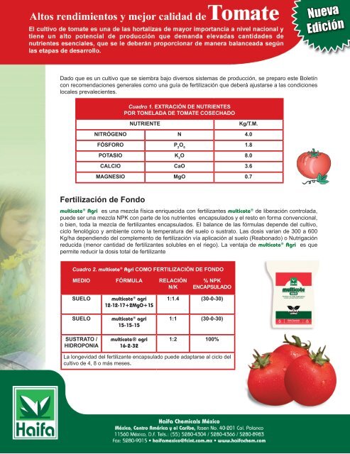 La fertilización de Tomate, Mexico | Spanish - Haifa-Group