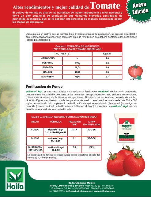 Nutrientes tomate los del