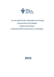 Manual planeamiento de auditoria.pdf - CCPP