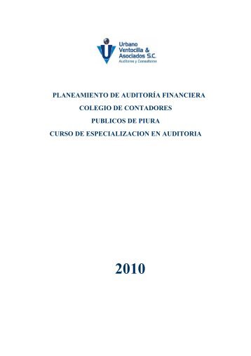Manual planeamiento de auditoria.pdf - CCPP