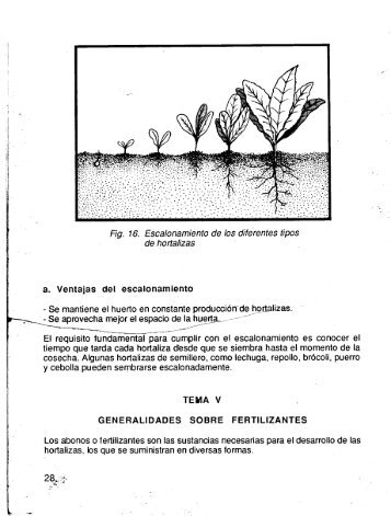 generalidades sobre fertilizantes - Ministerio de Agricultura y ...