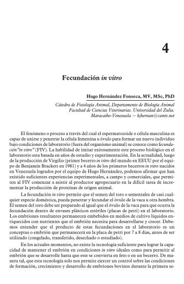 Fecundación in vitro. - AVPA