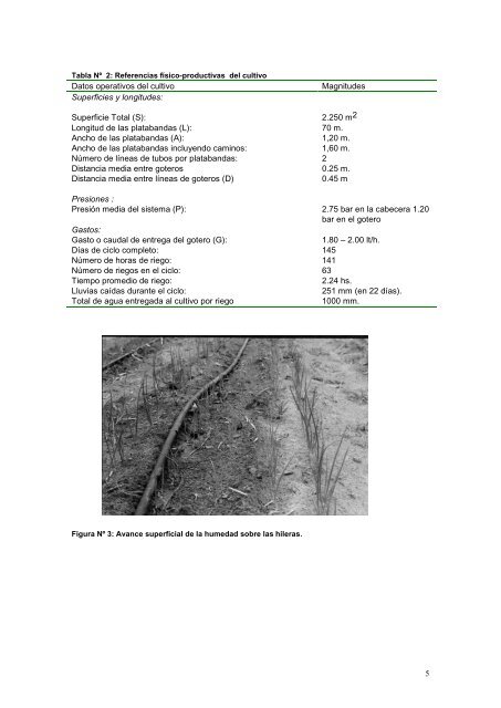 INTA H-Ascasubi-Riego por goteo en el cultivo de cebolla-2013.pdf