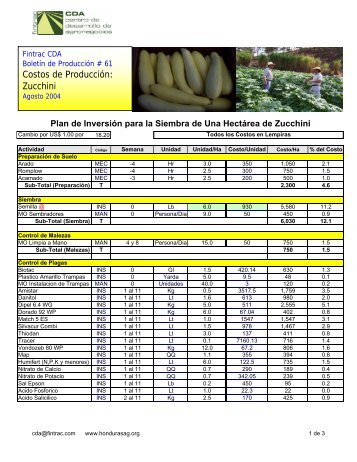 Costos de Producción: Zucchini