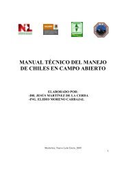 Manual para la Producción de Chiles