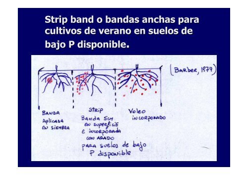 Aplicación de Fertilizantes - Facultad de Agronomía