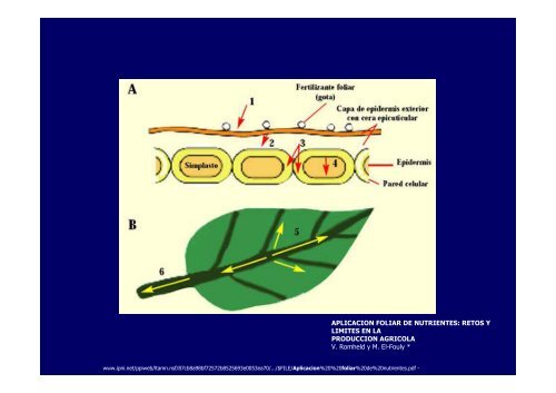 Aplicación de Fertilizantes - Facultad de Agronomía