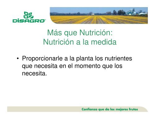 Presentación sobre conceptos básicos de fertilizantes y ... - Disagro