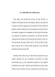 II REVISIÓN DE LITERATURA (13).pdf