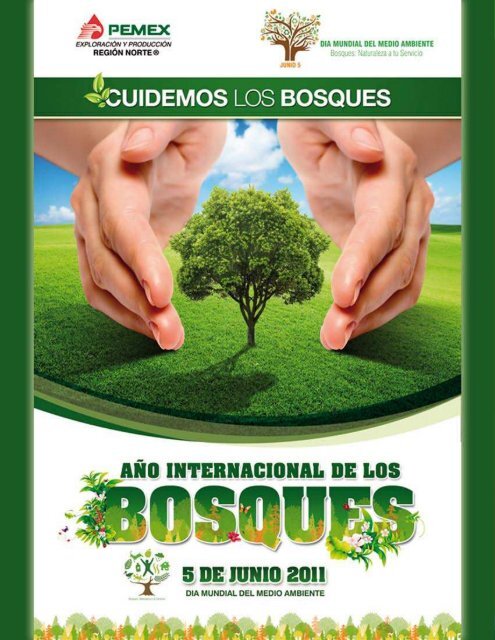 ejercicio fisico - Asociación de Ingenieros Petroleros de México, AC