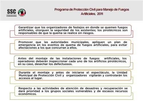 PP Juegos Pirotecnicos IPPE 2011.pdf