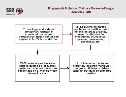 PP Juegos Pirotecnicos IPPE 2011.pdf