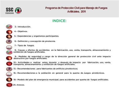 PP Juegos Pirotecnicos IPPE 2011.pdf