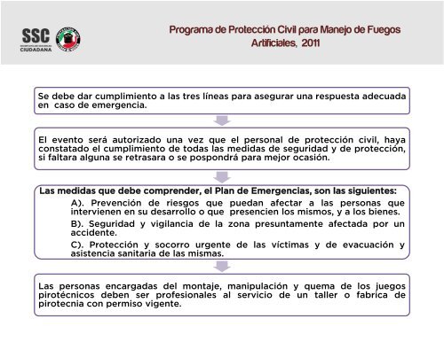 PP Juegos Pirotecnicos IPPE 2011.pdf