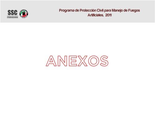 PP Juegos Pirotecnicos IPPE 2011.pdf