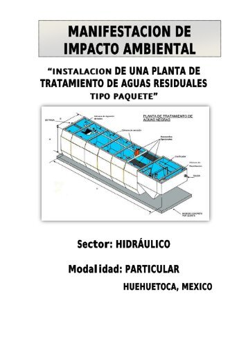 tradutro MANIFESTACION DE IMPACTO ... - sinat - Semarnat