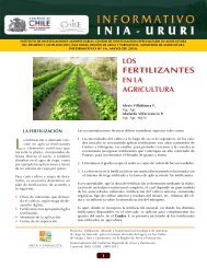 Los fertilizantes en la agricultura - Platina - Inia