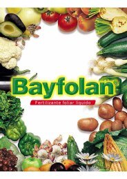 Fertilizante foliar líquido - Bayer CropScience Chile