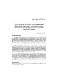 Capítulo XXIXA. Cultivar mulato II - AVPA