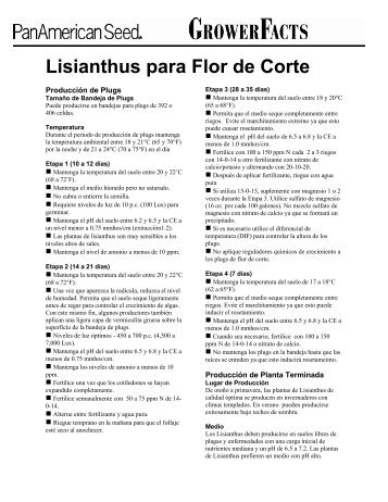 Lisianthus para Flor de Corte - Pan American Seed Company