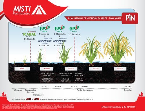 PIN Arroz 1 Norte 21,5x28 - Misti