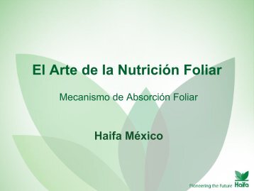 Nutrición Foliar - Haifa-Group