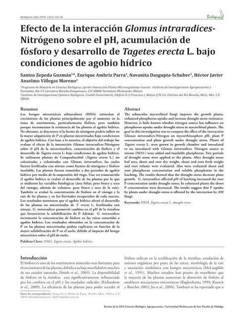 Efecto de la interacción Glomus intraradices - Revista Biológicas ...