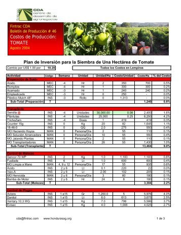 Costos de Producción: TOMATE