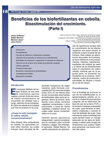 Beneficios de los biofertilizantes en cebolla. Bioestimulación - INIA