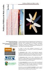 Políticas Públicas de Maíz criollo. - sinarefi