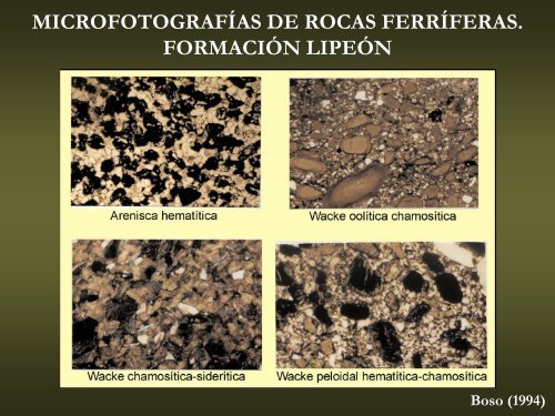 Rocas Ferruginosas - Facultad de Ciencias Naturales y Museo ...
