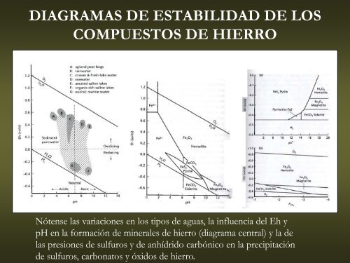 Rocas Ferruginosas - Facultad de Ciencias Naturales y Museo ...