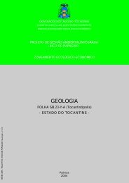 GEOLOGIA - seplan - Governo do Estado do Tocantins