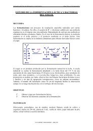 Fermentación láctica y bacterias del yogurt - IES Izpisúa Belmonte