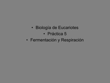 Fermentación y Respiración - biblioteca upibi