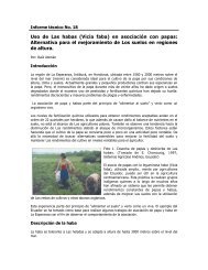 Uso de Las habas (Vicia faba) en asociación con papas ... - CIDICCO