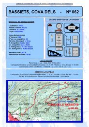 BASSIETS, COVA DELS - Nº 062