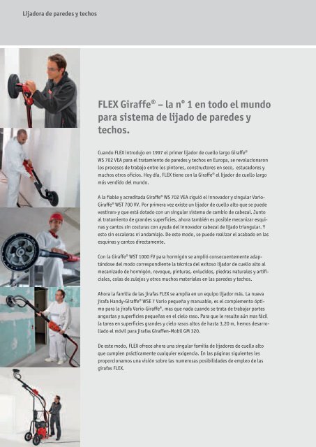 Spanish - FLEX