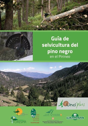Guía de selvicultura del pino negro