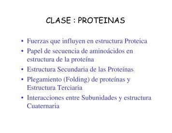 CLASE : PROTEINAS - UPCH