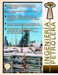 Sección Técnica - Asociación de Ingenieros Petroleros de México, AC