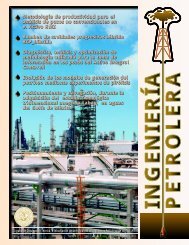 Sección Técnica - Asociación de Ingenieros Petroleros de México, AC