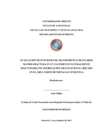 evaluación de funciones de transferencia de fluidos matriz-fractura ...