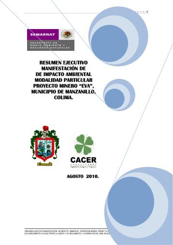 resumen ejecutivo manifestación de de impacto ... - sinat - Semarnat