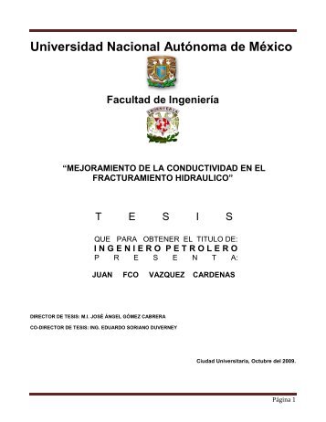 Introducción - Universidad Nacional Autónoma de México