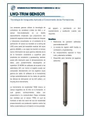 Descargar ficha técnica (PDF) - IPS